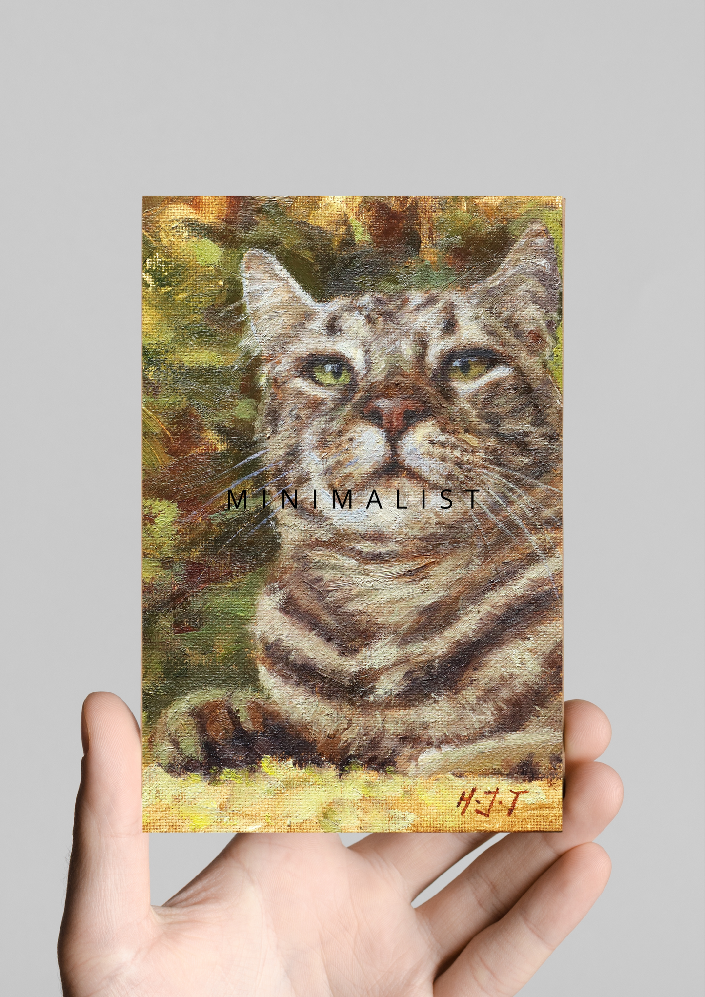 The Boss Tabby Cat