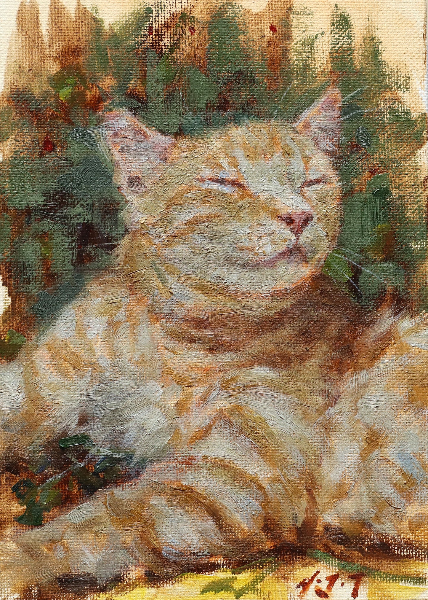 Content Ginger Cat-Oil Painting Original