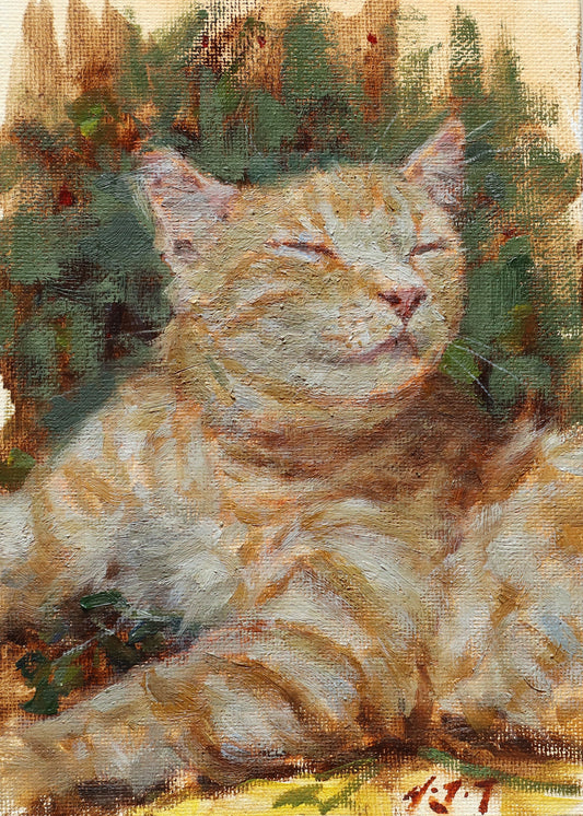 Content Ginger Cat-Oil Painting Original