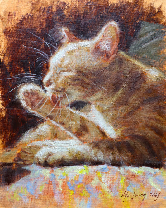 Grooming Ginger Cat