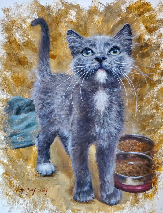 Grey kitty with a bowl of food