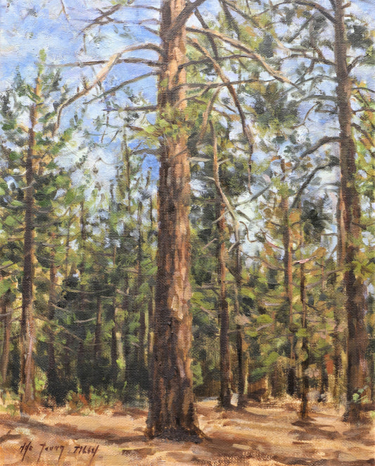 Big Bear Mountain