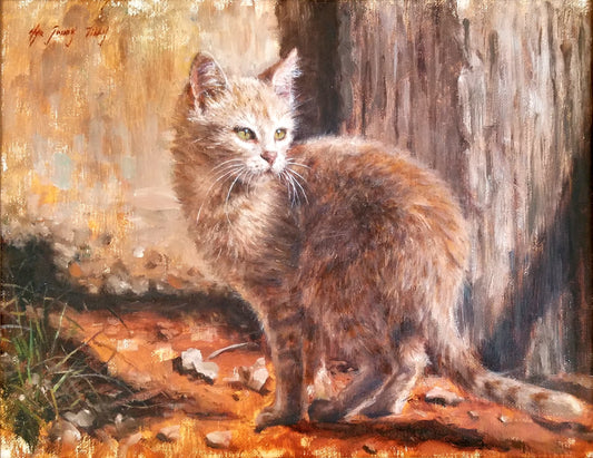 Scared Orange Feral Kitty