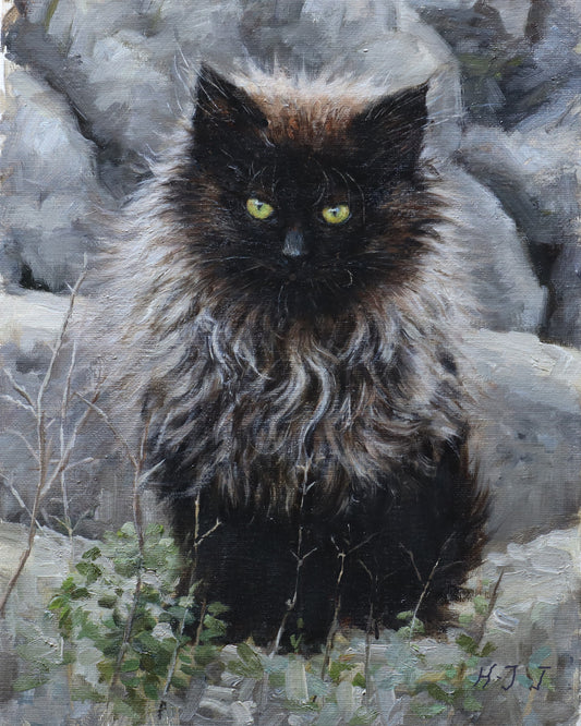 Grey Black Kitty Original Oil Painting