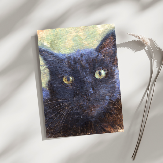 The gaze of black cat
