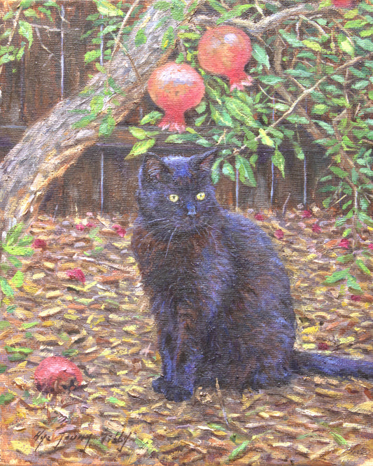 Black cat by pomegranate tree